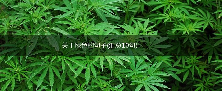 关于绿色的句子(汇总10句),第1张