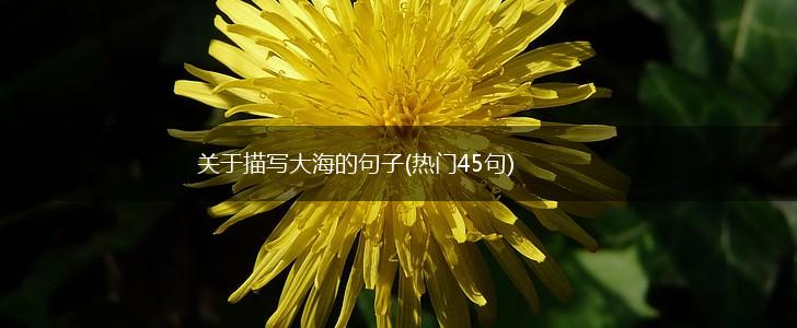 关于描写大海的句子(热门45句),第1张
