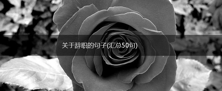 关于辞职的句子(汇总50句),第1张