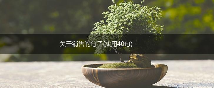 关于销售的句子(实用40句),第1张