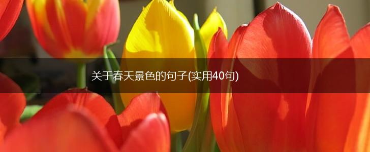 关于春天景色的句子(实用40句),第1张