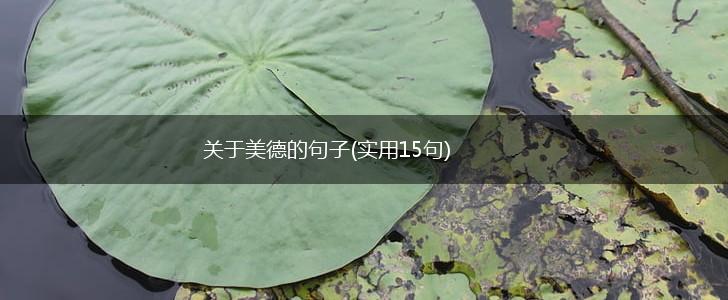 关于美德的句子(实用15句),第1张