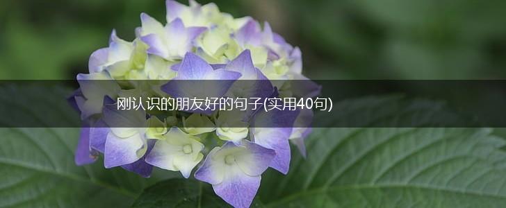 刚认识的朋友好的句子(实用40句),第1张