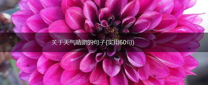关于天气晴朗的句子(实用60句),第1张