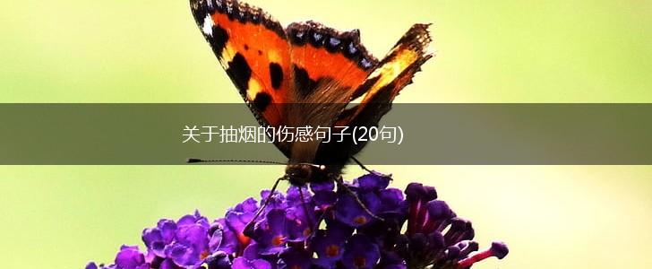 关于抽烟的伤感句子(20句),第1张