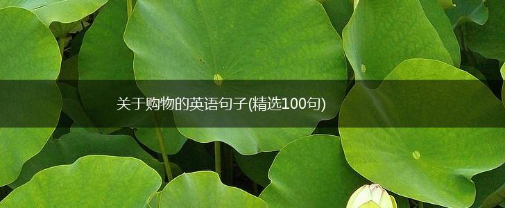 关于购物的英语句子(精选100句),第1张