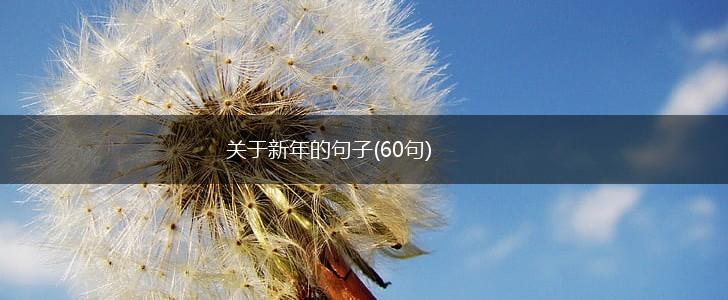 关于新年的句子(60句),第1张
