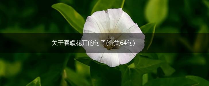 关于春暖花开的句子(合集64句),第1张