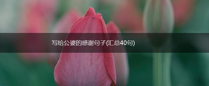 写给公婆的感谢句子(汇总40句),第1张
