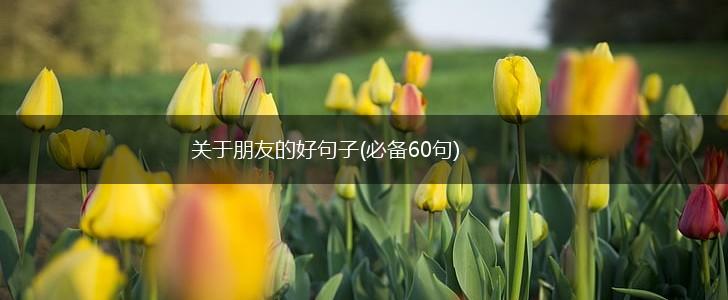 关于朋友的好句子(必备60句),第1张