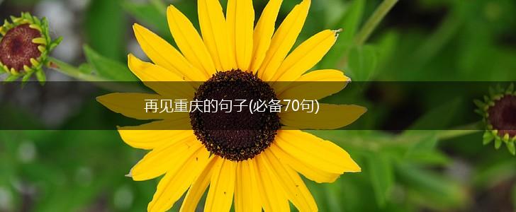 再见重庆的句子(必备70句),第1张