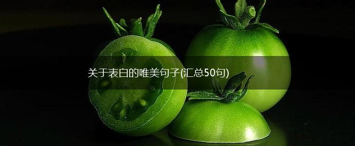 关于表白的唯美句子(汇总50句),第1张