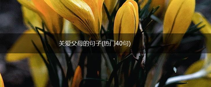 关爱父母的句子(热门40句),第1张