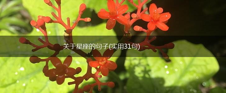 关于星座的句子(实用31句),第1张