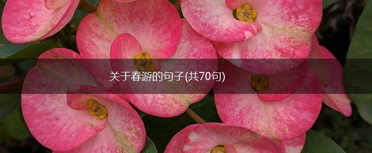 关于春游的句子(共70句),第1张
