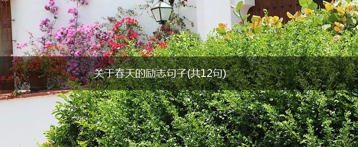 关于春天的励志句子(共12句),第1张