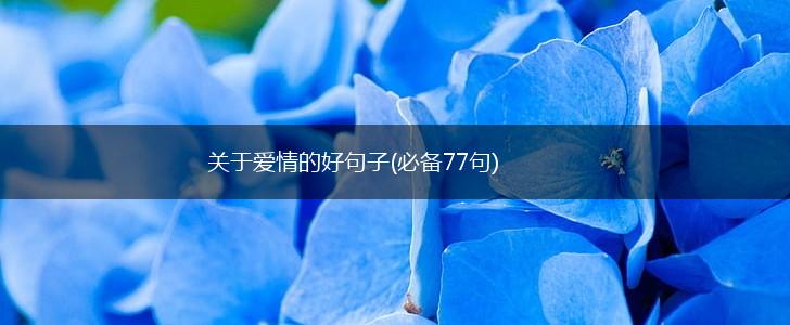 关于爱情的好句子(必备77句),第1张