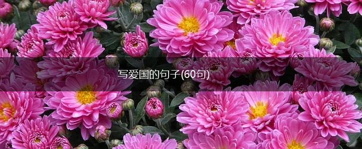 写爱国的句子(60句),第1张
