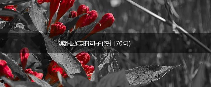 减肥励志的句子(热门70句),第1张
