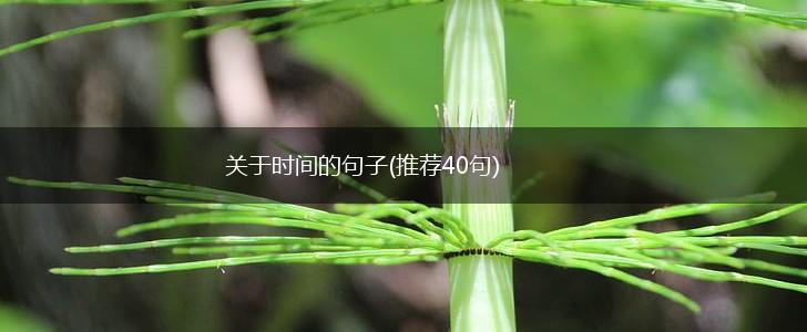 关于时间的句子(推荐40句),第1张
