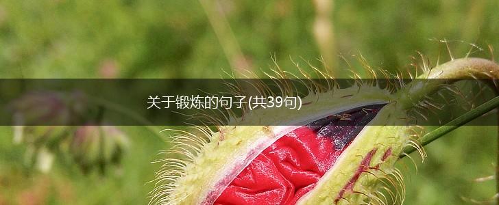 关于锻炼的句子(共39句),第1张