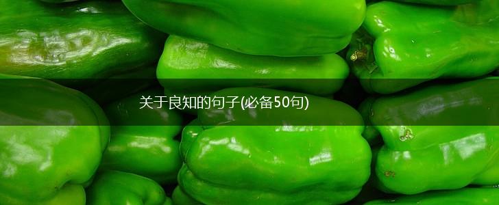 关于良知的句子(必备50句),第1张