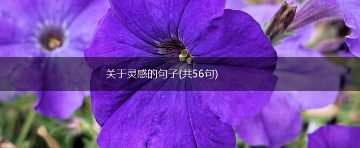 关于灵感的句子(共56句),第1张