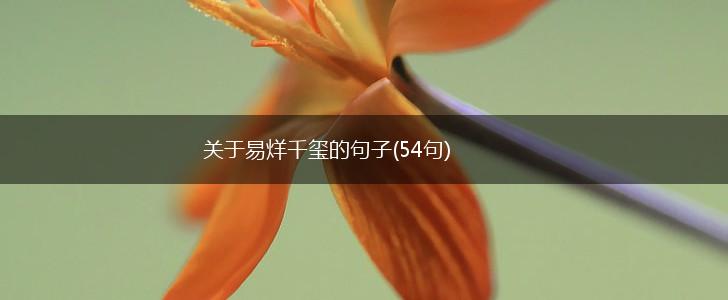 关于易烊千玺的句子(54句),第1张
