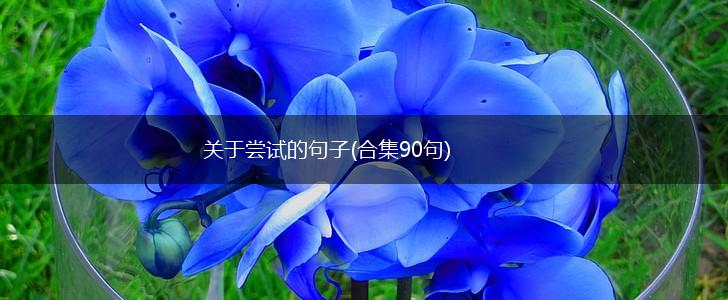 关于尝试的句子(合集90句),第1张