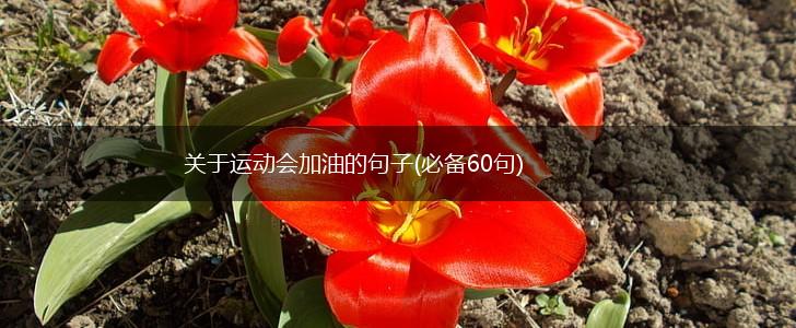 关于运动会加油的句子(必备60句),第1张