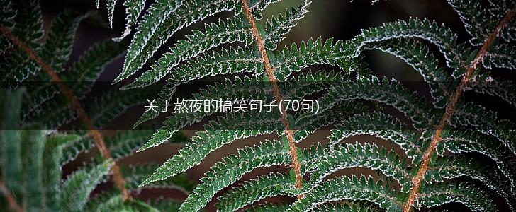 关于熬夜的搞笑句子(70句),第1张