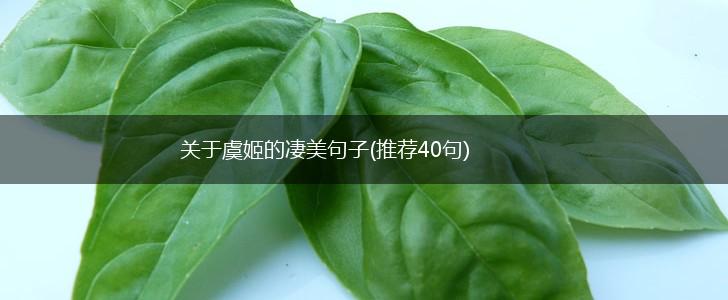关于虞姬的凄美句子(推荐40句),第1张