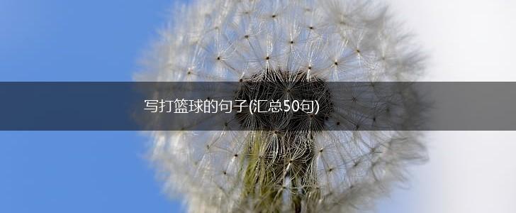 写打篮球的句子(汇总50句),第1张