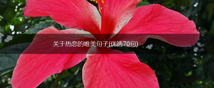 关于热恋的唯美句子(优选70句),第1张