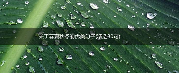 关于春夏秋冬的优美句子(精选30句),第1张