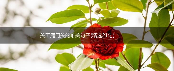 关于雁门关的唯美句子(精选21句),第1张