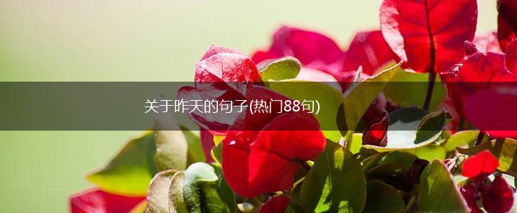 关于昨天的句子(热门88句),第1张
