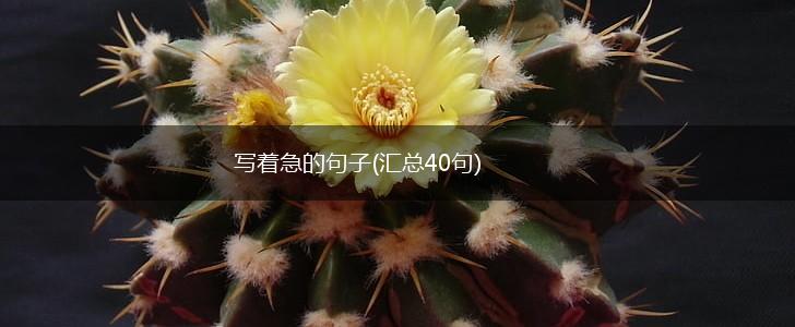 写着急的句子(汇总40句),第1张