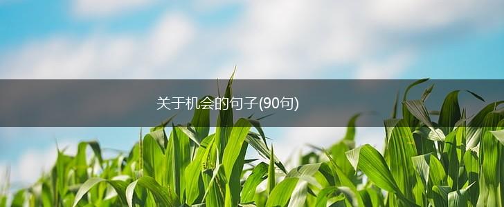 关于机会的句子(90句),第1张