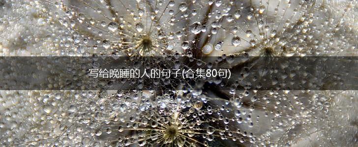 写给晚睡的人的句子(合集80句),第1张