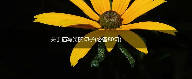 关于描写笑的句子(必备80句),第1张