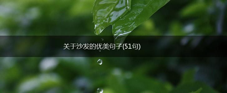 关于沙发的优美句子(51句),第1张