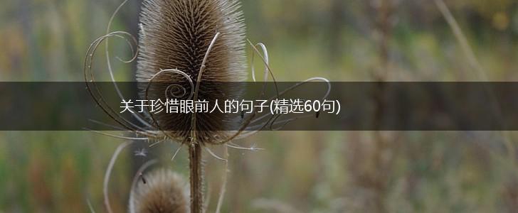 关于珍惜眼前人的句子(精选60句),第1张