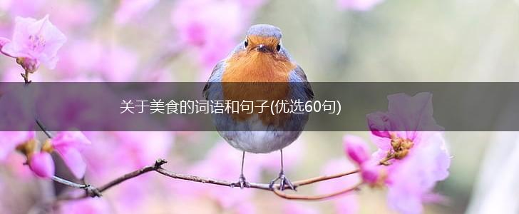 关于美食的词语和句子(优选60句),第1张