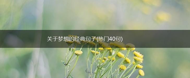 关于梦想的经典句子(热门40句),第1张