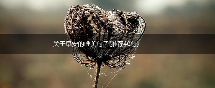 关于早安的唯美句子(推荐40句),第1张