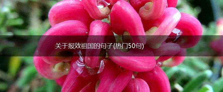 关于报效祖国的句子(热门50句),第1张