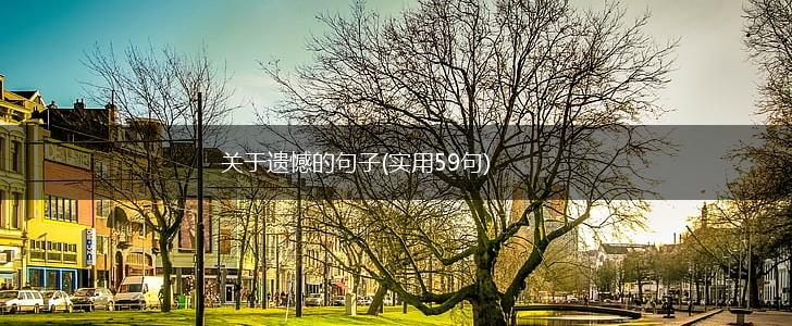 关于遗憾的句子(实用59句),第1张