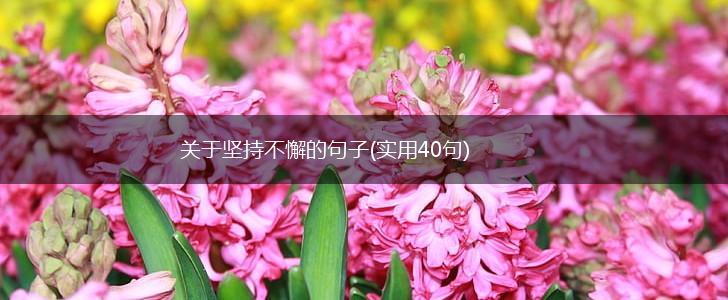 关于坚持不懈的句子(实用40句),第1张