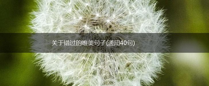 关于错过的唯美句子(通用40句),第1张